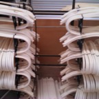 Pellenc Picking Rods.jpg